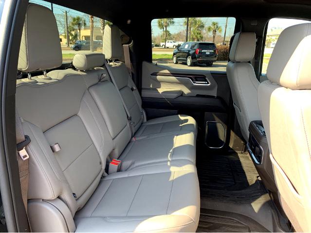 2023 GMC Sierra 1500 Vehicle Photo in BEAUFORT, SC 29906-4218