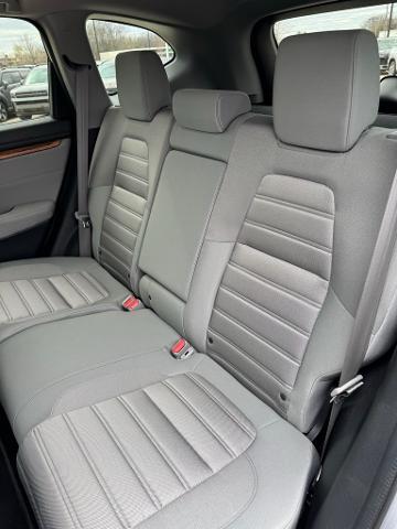 2019 Honda CR-V Vehicle Photo in Peoria, IL 61615