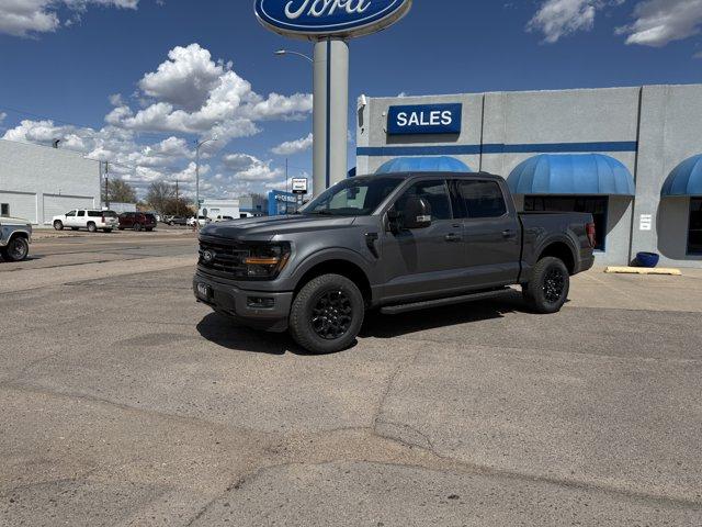 2025 Ford F-150 Vehicle Photo in Ogallala, NE 69153