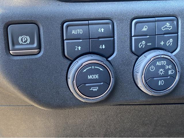 2025 Chevrolet Silverado 1500 Vehicle Photo in BEAUFORT, SC 29906-4218