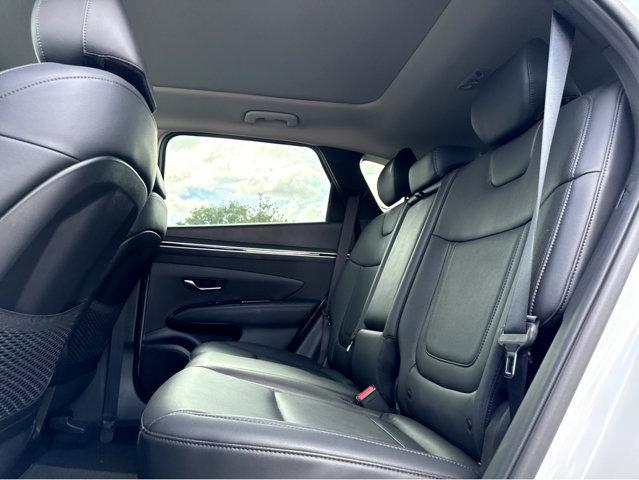 2023 Hyundai TUCSON Vehicle Photo in Savannah, GA 31419