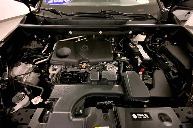 2023 Toyota RAV4 Vehicle Photo in Lees Summit, MO 64086