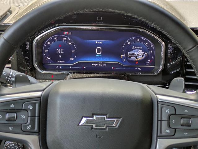 2024 Chevrolet Silverado 1500 Vehicle Photo in BRUNSWICK, GA 31525-1881