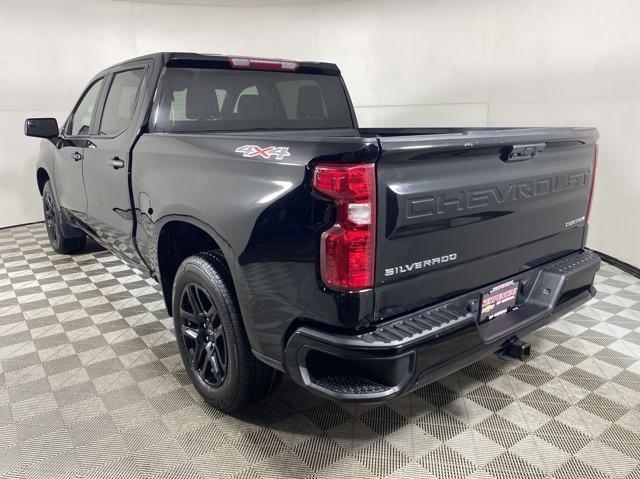 2023 Chevrolet Silverado 1500 Vehicle Photo in MEDINA, OH 44256-9001
