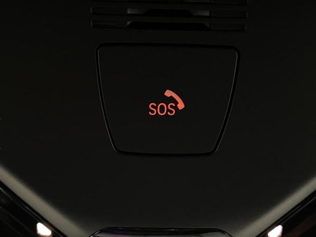2025 BMW X7 xDrive40i Vehicle Photo in Appleton, WI 54913