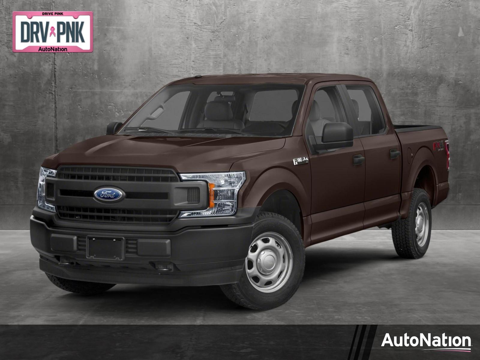 2020 Ford F-150 Vehicle Photo in Jacksonville, FL 32256