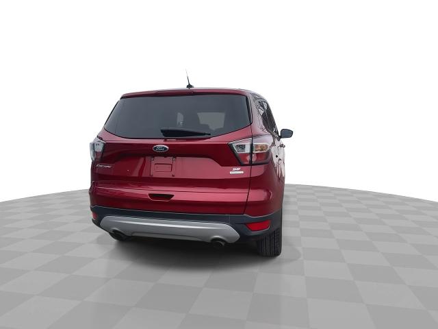 2017 Ford Escape Vehicle Photo in BOSTON, NY 14025-9684