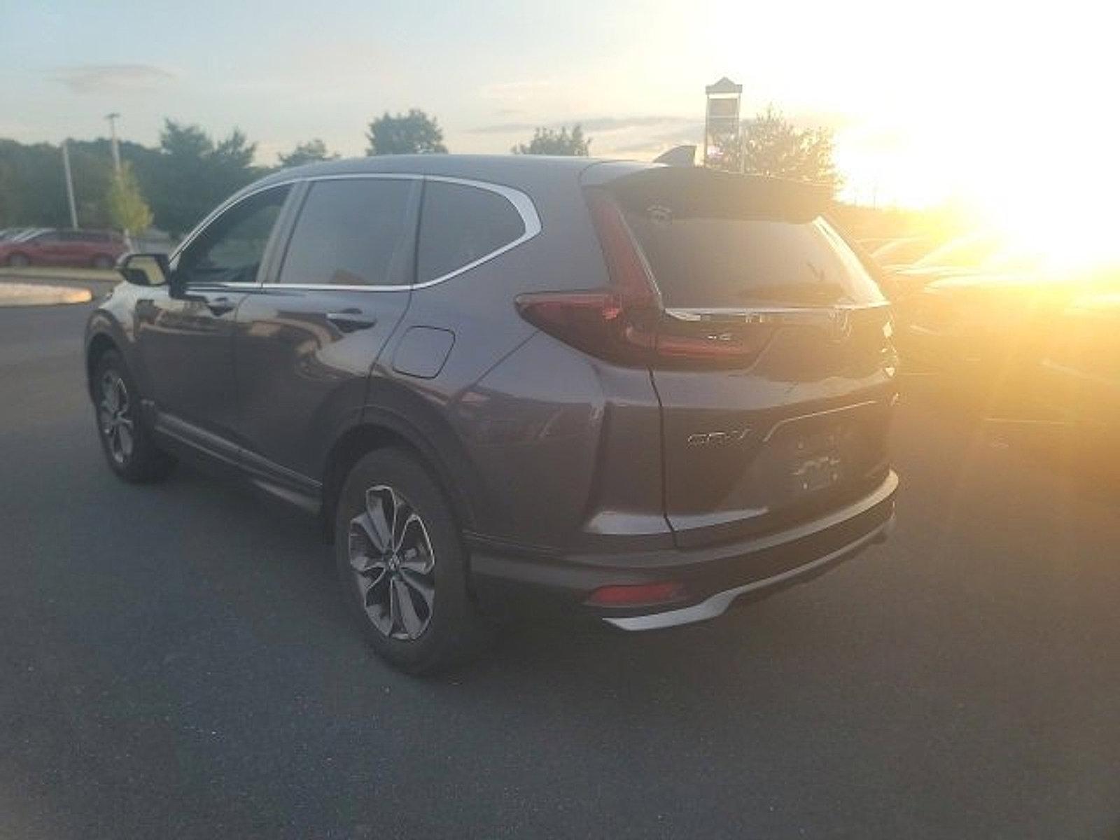2020 Honda CR-V Vehicle Photo in Harrisburg, PA 17111