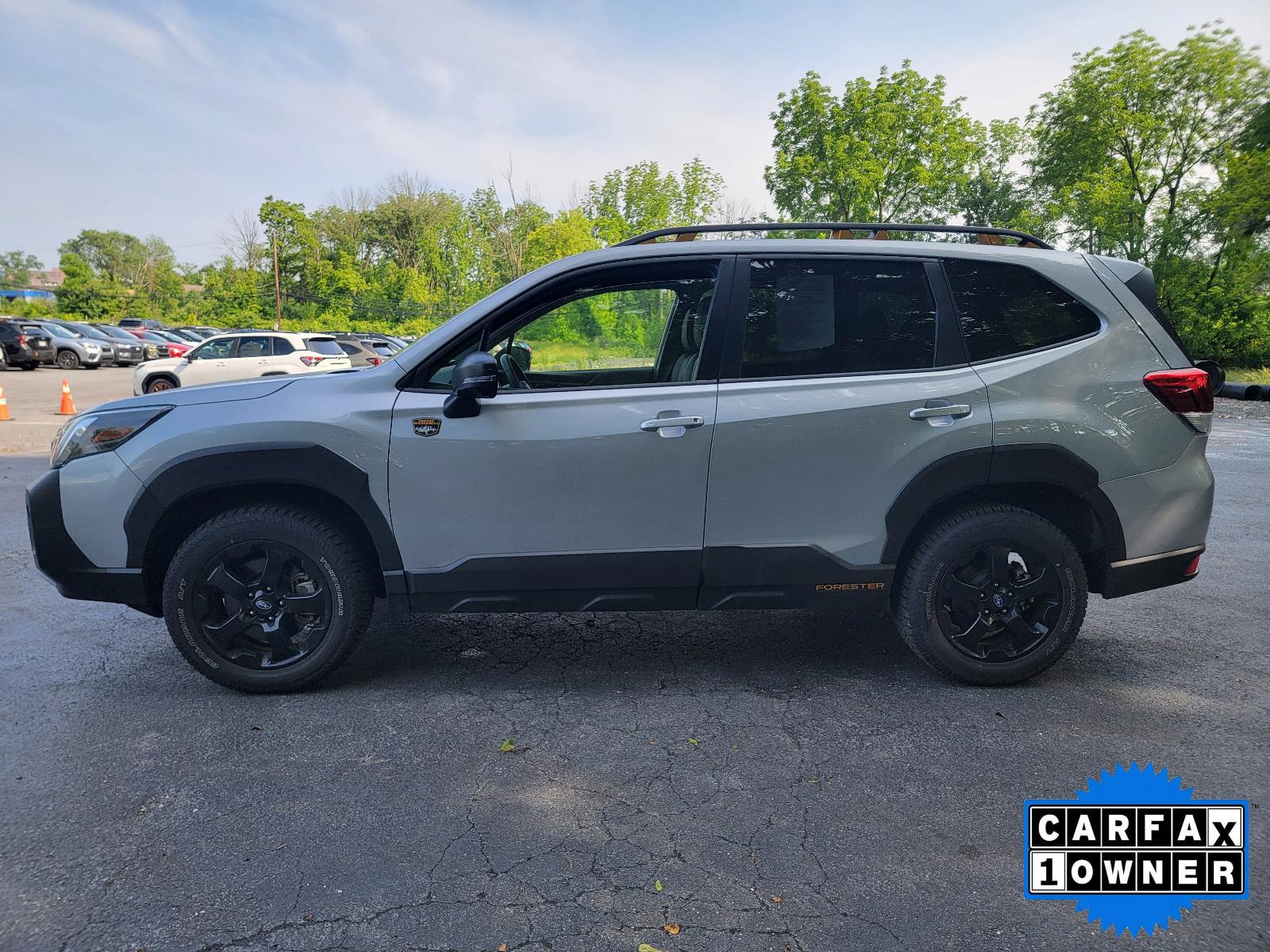 2024 Subaru Forester Vehicle Photo in Harrisburg, PA 17111