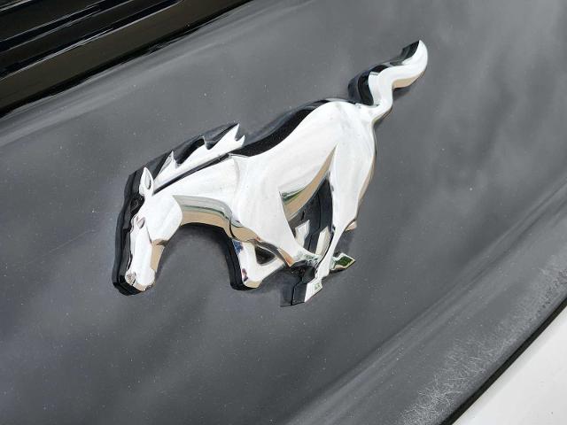2016 Ford Mustang Vehicle Photo in DENTON, TX 76210-9321