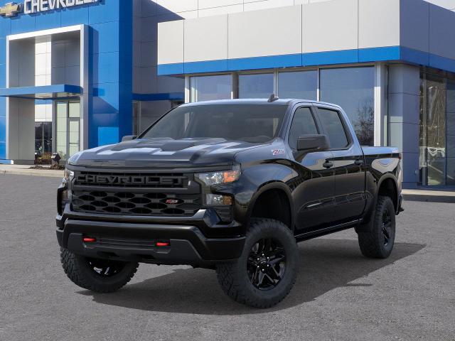 2025 Chevrolet Silverado 1500 Vehicle Photo in DANBURY, CT 06810-5034