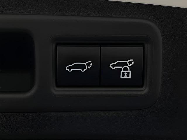 2024 Lexus RX 350 Vehicle Photo in Appleton, WI 54913