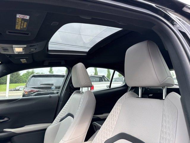 2020 Lexus UX 250h Vehicle Photo in Flemington, NJ 08822