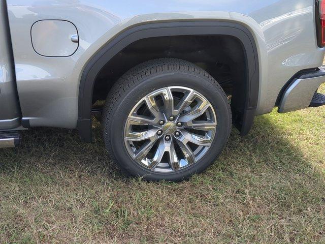 2025 GMC Sierra 1500 Vehicle Photo in ALBERTVILLE, AL 35950-0246