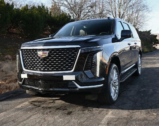 2025 Cadillac Escalade ESV Vehicle Photo in NORWOOD, MA 02062-5222