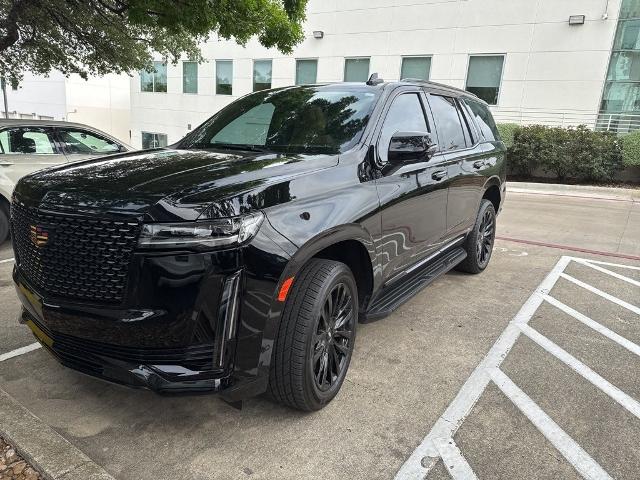 2022 Cadillac Escalade Vehicle Photo in San Antonio, TX 78230