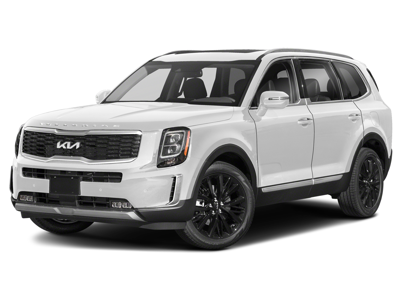 2022 Kia Telluride Vehicle Photo in San Antonio, TX 78230