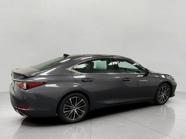 2022 Lexus ES 350 Vehicle Photo in Appleton, WI 54913