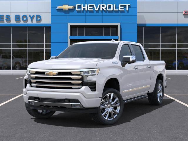 2025 Chevrolet Silverado 1500 Vehicle Photo in HENDERSON, NC 27536-2966