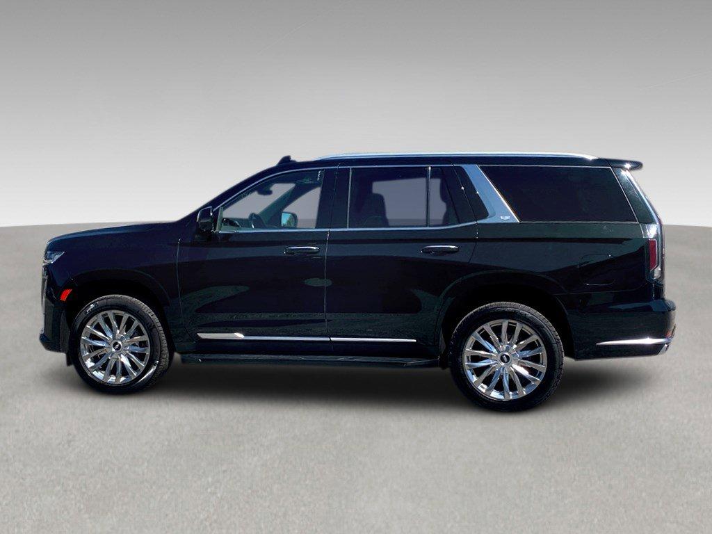 2023 Cadillac Escalade Vehicle Photo in SAVANNAH, GA 31406-4513
