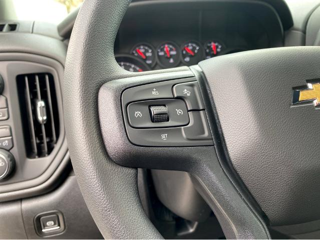 2025 Chevrolet Silverado 1500 Vehicle Photo in SAVANNAH, GA 31406-4513