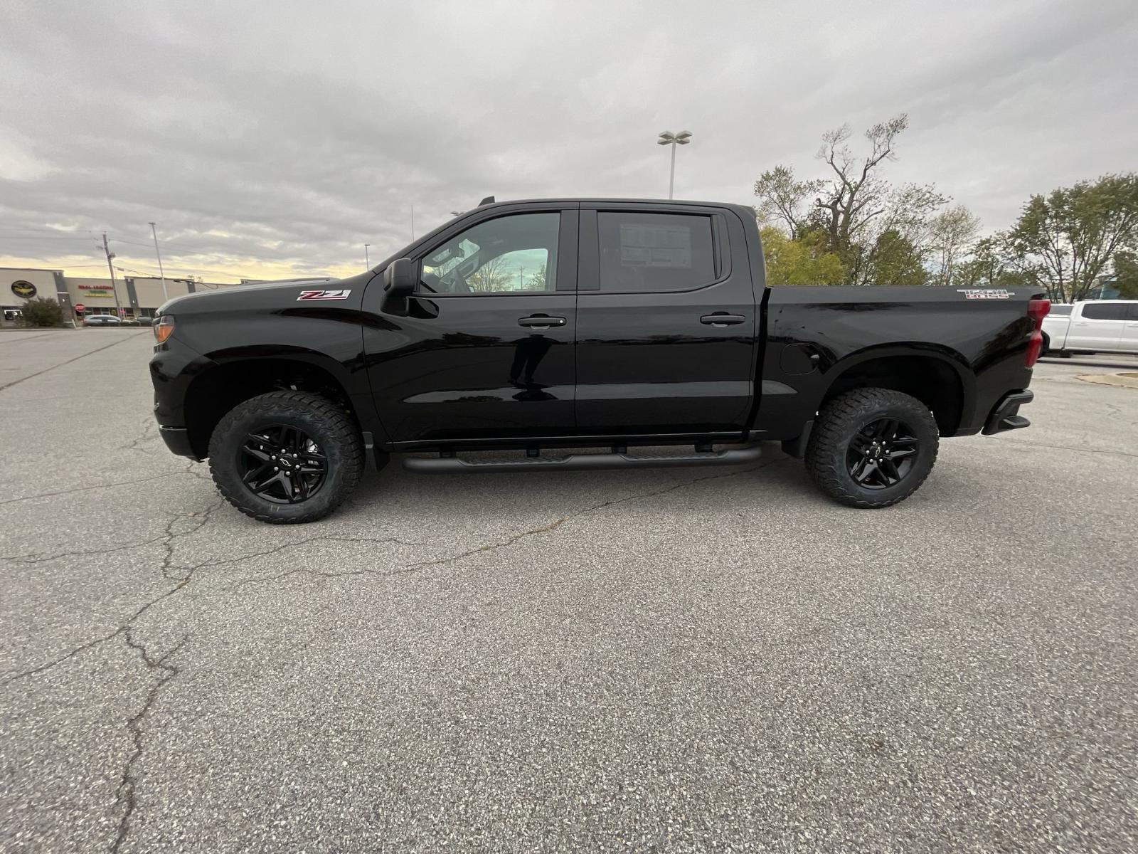 2025 Chevrolet Silverado 1500 Vehicle Photo in BENTONVILLE, AR 72712-4322