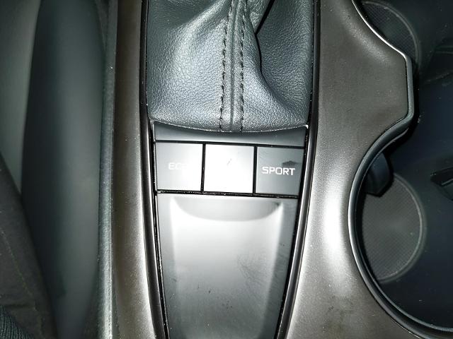 2024 Toyota Camry Vehicle Photo in Green Bay, WI 54304