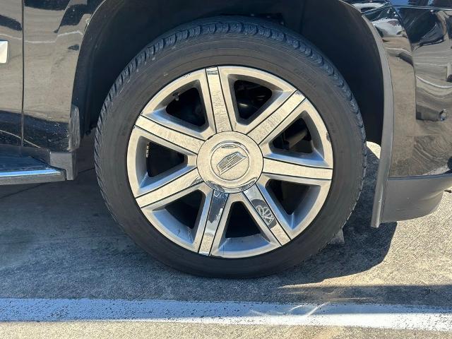 2019 Cadillac Escalade Vehicle Photo in San Antonio, TX 78230