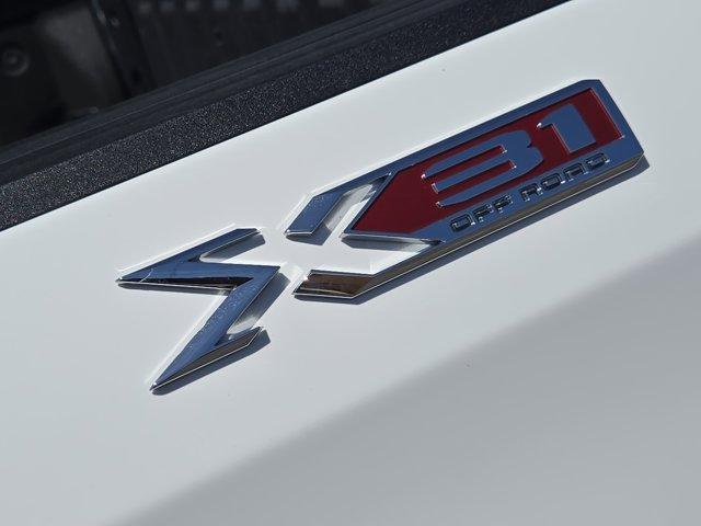 2021 GMC Sierra 1500 Vehicle Photo in Decatur, TX 76234