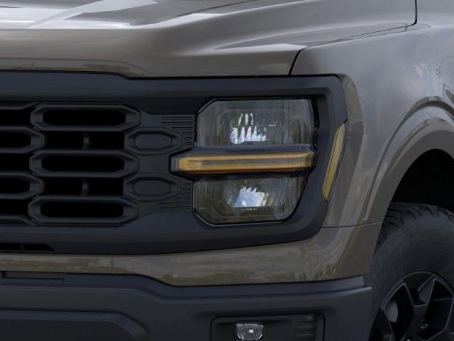 2025 Ford F-150 Vehicle Photo in Weatherford, TX 76087