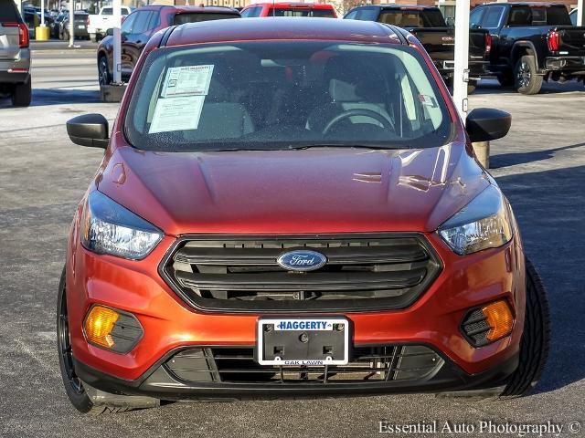 2019 Ford Escape Vehicle Photo in OAK LAWN, IL 60453-2517