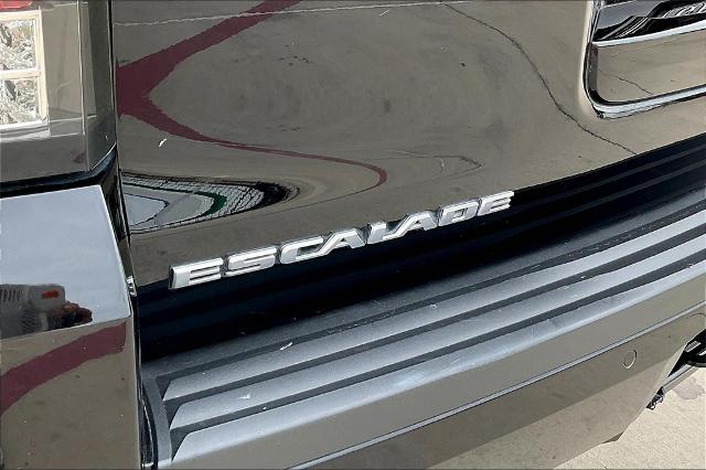 2019 Cadillac Escalade Vehicle Photo in Grapevine, TX 76051