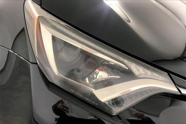 2017 Toyota RAV4 Vehicle Photo in Lees Summit, MO 64086