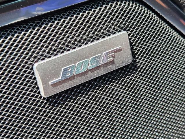 2024 GMC Sierra 1500 Vehicle Photo in DENTON, TX 76210-9321