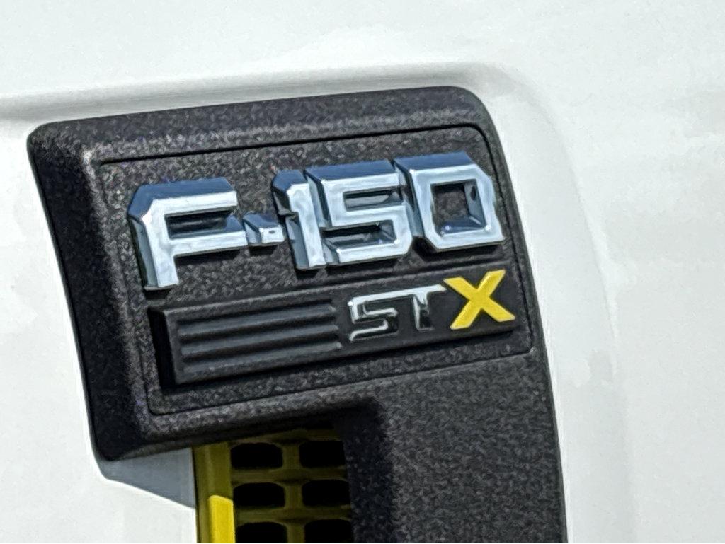 2024 Ford F-150 Vehicle Photo in POOLER, GA 31322-3252