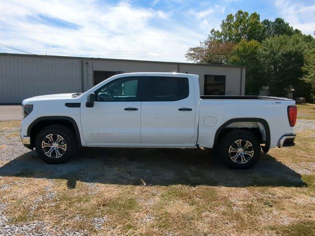 2024 GMC Sierra 1500 Vehicle Photo in ALBERTVILLE, AL 35950-0246