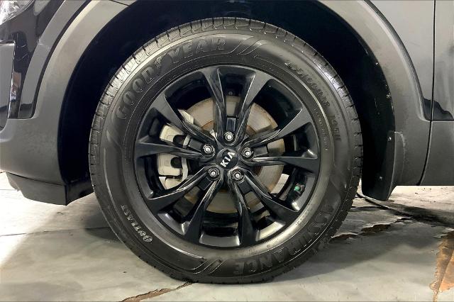 2020 Kia Telluride Vehicle Photo in Lees Summit, MO 64086