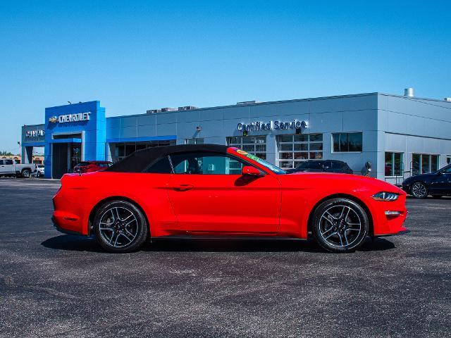 2023 Ford Mustang Vehicle Photo in MADISON, IN 47250-1611