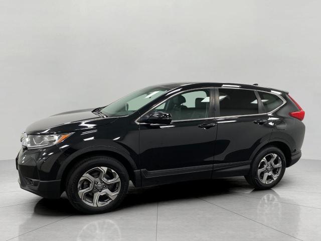 2019 Honda CR-V Vehicle Photo in Appleton, WI 54913