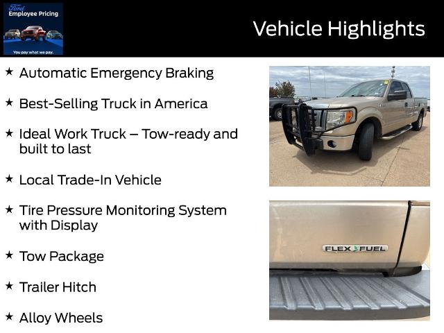 2012 Ford F-150 Vehicle Photo in Weatherford, TX 76087