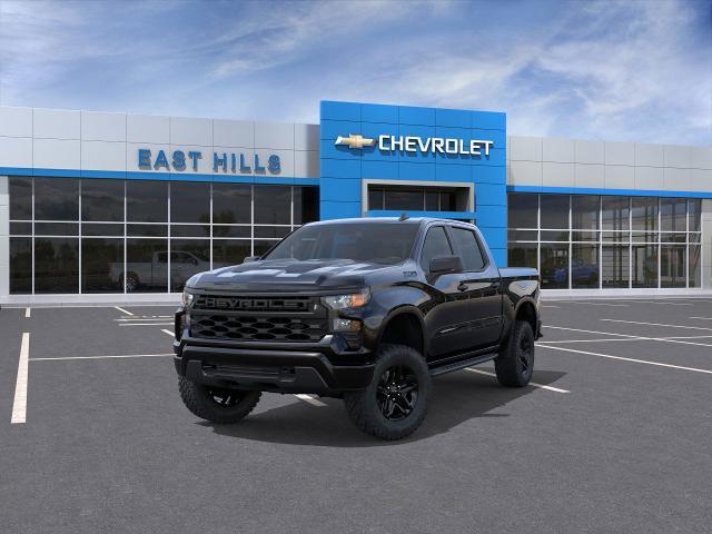 2025 Chevrolet Silverado 1500 Vehicle Photo in Roslyn, NY 11576