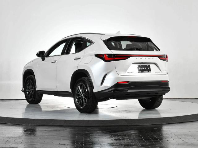 2024 Lexus NX 250 Vehicle Photo in DALLAS, TX 75235