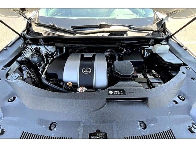 2019 Lexus RX 350 Vehicle Photo in San Antonio, TX 78230