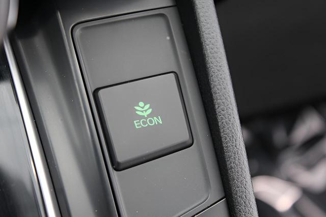 2017 Honda CR-V Vehicle Photo in Green Bay, WI 54304