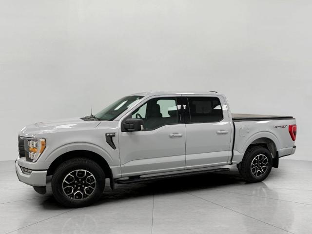 2021 Ford F-150 Vehicle Photo in Appleton, WI 54913