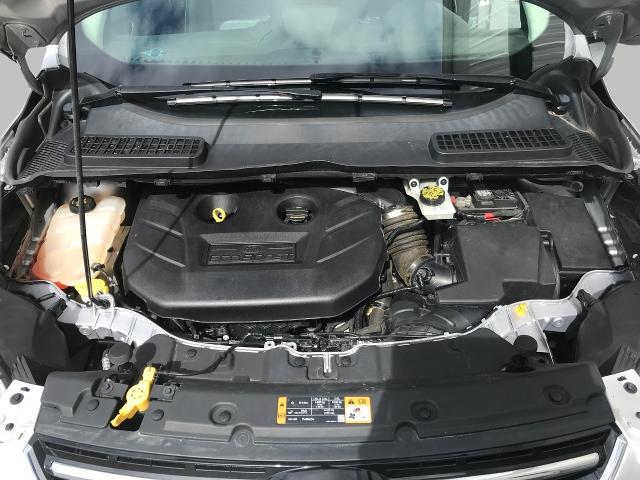 2014 Ford Escape Vehicle Photo in GREEN BAY, WI 54303-3330