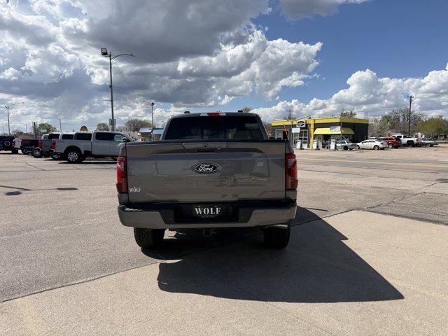 2025 Ford F-150 Vehicle Photo in Ogallala, NE 69153