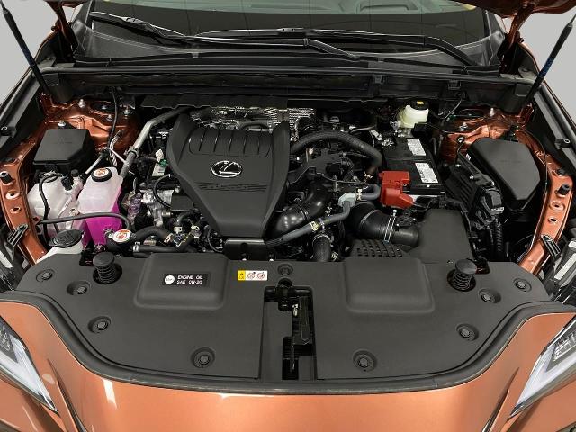2025 Lexus NX 350 Vehicle Photo in Appleton, WI 54913