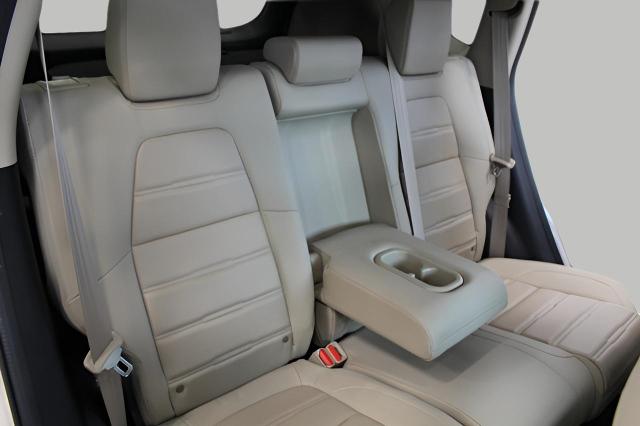2019 Honda CR-V Vehicle Photo in Green Bay, WI 54304
