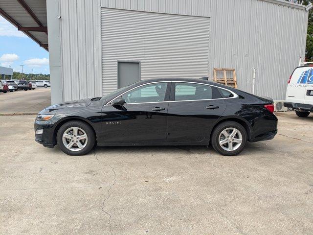 2025 Chevrolet Malibu Vehicle Photo in BRUNSWICK, GA 31525-1881